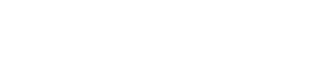 SKINTIMATE Logo